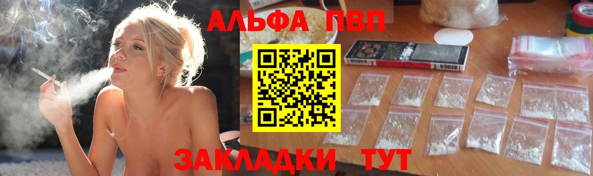 Альфа ПВП СК КРИС Новый Уренгой