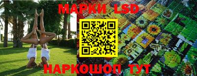 гидра Тара
