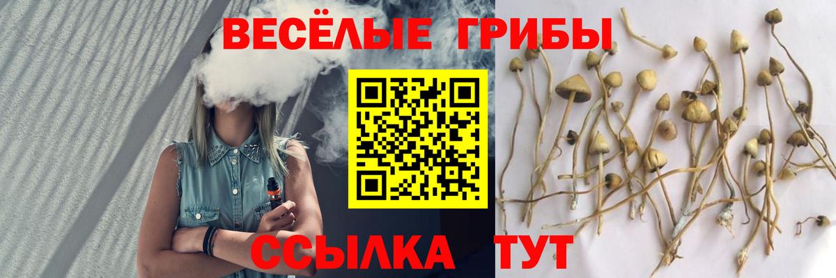 Галлюциногенные грибы ЛСД  Вход с VPN  Галлюциногенные грибы GOLDEN TEACHER  Новый Уренгой 